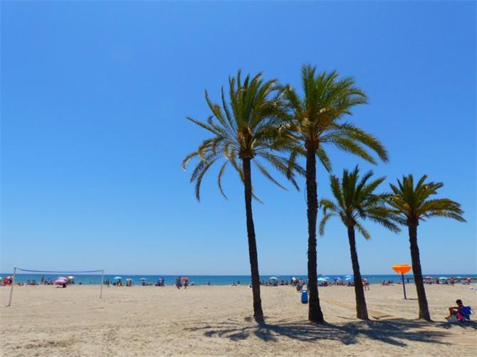 Apartamento En El Centro De Elche Con Terraza La Alborada מראה חיצוני תמונה