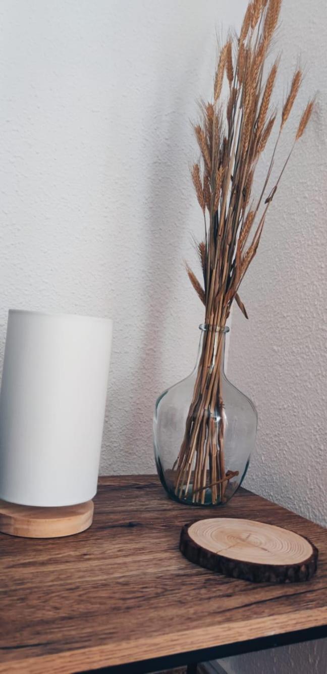 Apartamento En El Centro De Elche Con Terraza La Alborada מראה חיצוני תמונה