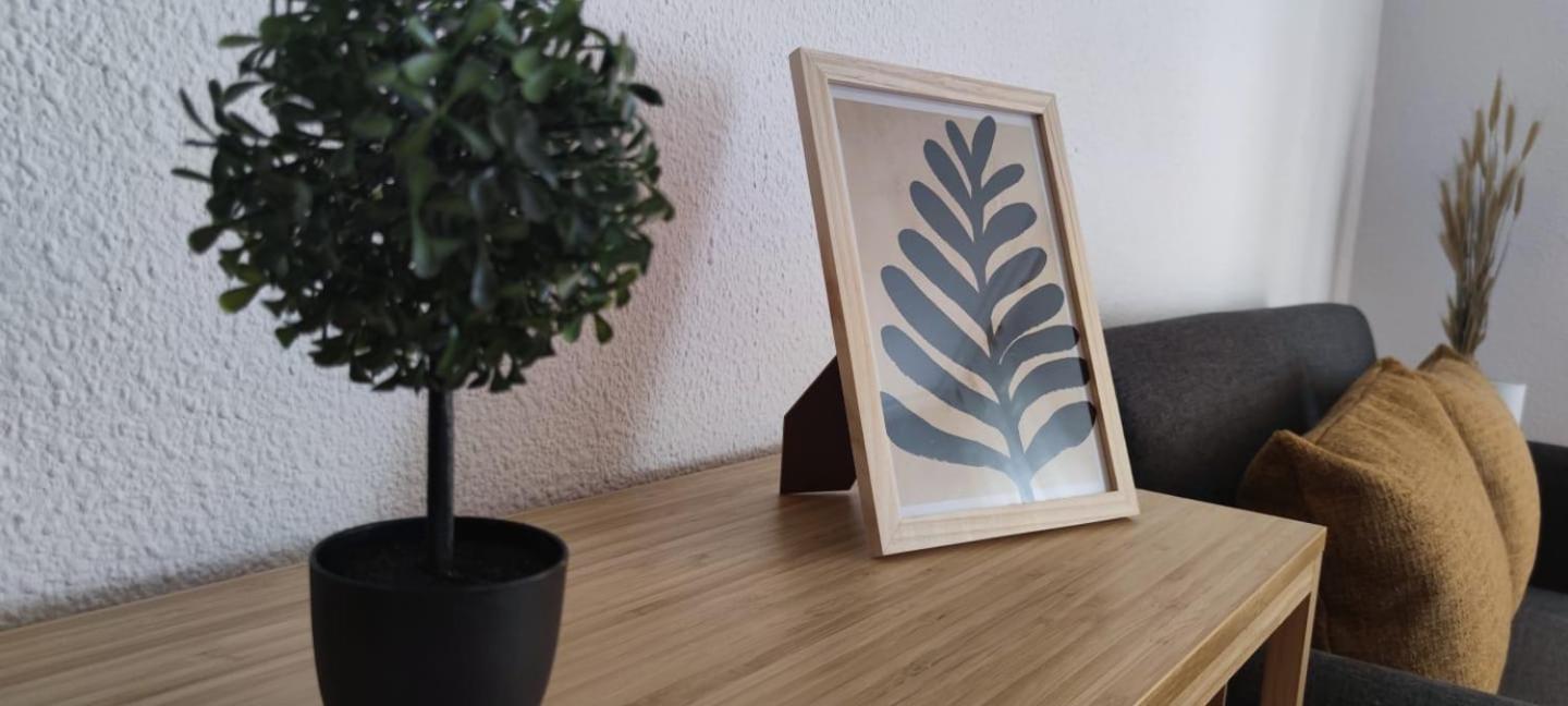 Apartamento En El Centro De Elche Con Terraza La Alborada מראה חיצוני תמונה
